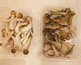 ☆たけのこときのこの炊き込みご飯☆作り方1写真