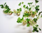 ちくわdeいけばな作り方3写真