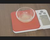ミニ・プリンタルト【※レシピ動画】作り方37写真