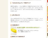 初心者でも簡単！ふわふわきれいなオムレツ作り方13写真