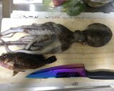 タコの刺身と唐揚げ作り方1写真