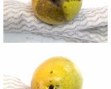 甘さ控えめ庭木の花梨酒作り方2写真