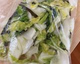 ごはんが進む!簡単♡白菜の浅漬け作り方5写真