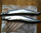 〆サンマ作り方1写真