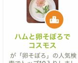 ハムと卵そぼろでコスモス作り方10写真