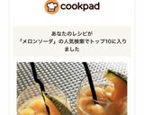 人気検索TOP10入 メロンソーダ作り方1写真