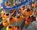 渋柿から甘い干し柿へ作り方5写真