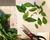 【いろいろ使える！】バジル塩の作り方作り方1写真