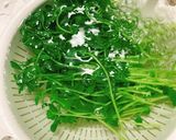 小松菜と豆苗の生姜お浸し作り方6写真