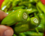 簡単☆甘辛ししとう作り方1写真