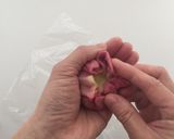 お楽しみパイ(アップルパイ）作り方20写真