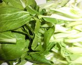 5分で⁈チンゲン菜のミルク煮作り方1写真