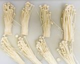 もう1品と思った時に役立つエノキレシピ作り方1写真
