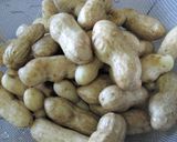 生の落花生のゆで方作り方1写真