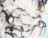 お年寄り絶賛シリーズ☆牡蠣、豆乳スープ☆作り方4写真