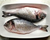 イタリア発!パリッふわ鯛の天然塩蒸し焼き作り方6写真