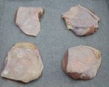 鶏肉のねぎ塩だれ【学校給食】作り方2写真