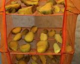 干し芋（天日干し）作り方3写真