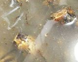 皮むき無し茹で里芋の保存方法ツルリむき方作り方2写真