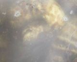 皮むき無し茹で里芋の保存方法ツルリむき方作り方4写真