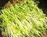 牛バラ肉と豆苗のこってり炒め作り方3写真