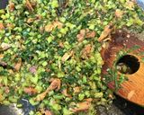 かぶの葉と さんま蒲焼で☆ご飯のお供 ♪作り方4写真