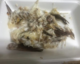 椎茸としめじの鯛あら炊き込みご飯作り方3写真