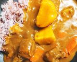 ルー、胃もたれなし。スパイシー米粉カレー作り方11写真
