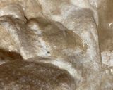 ほうじ茶香る米粉のシフォンケーキ作り方8写真
