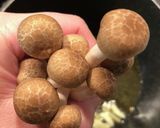 あと一品　♡鶏ササミのミルクスープ♡作り方5写真