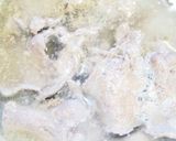 ステーキ職人！寿司酢でさっぱり茹で牛タン作り方5写真