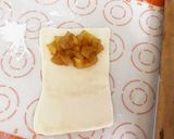 色々パイ(手作りパイ生地で)作り方10写真