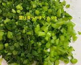 大根葉の冷凍保存作り方5写真