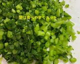 簡単、美味しい大根葉のふりかけ。作り方5写真