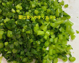 簡単、美味しい大根葉のふりかけ。作り方5写真