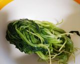 大根葉の塩漬け作り方4写真