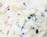 お年寄り絶賛シリーズ☆レンコンチーサラ☆作り方7写真