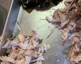 土鍋で鯛飯作り方11写真