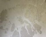 ヨーグルト・ティラミス作り方7写真