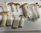 松茸を超えたエリンギ作り方1写真