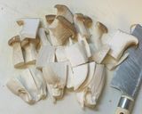 鶏ももとナスとエリンギのさっぱり煮作り方2写真