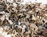 薬膳茶　自家製よもぎ茶で冷え改善作り方2写真