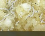しらすと大根おろし作り方5写真