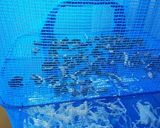 簡単！干ししいたけ作り方4写真
