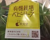 餃子大葉巻き弁当 詰め方作り方7写真