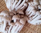 きのこ類の保存方法作り方3写真