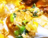少ないスパイスで本格的で簡単手羽元カレー作り方17写真