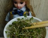 リカちゃん♡乗っけアルファルファまぐろ作り方10写真