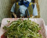 リカちゃん♡乗っけアルファルファまぐろ作り方12写真
