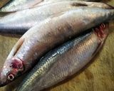 身欠きニシン作り方1写真